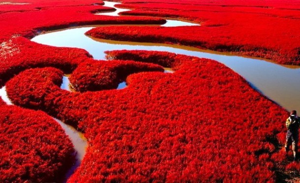 red-beach