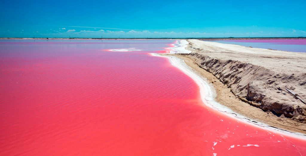 las coloradas pink lake