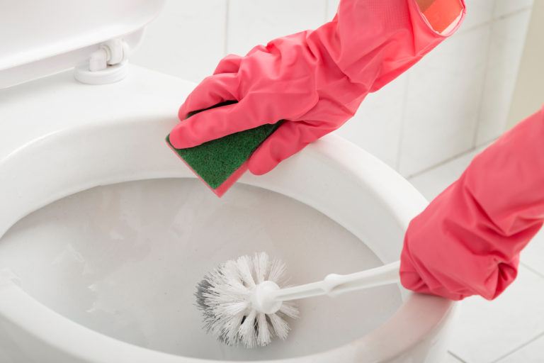 toilet pans cleaning