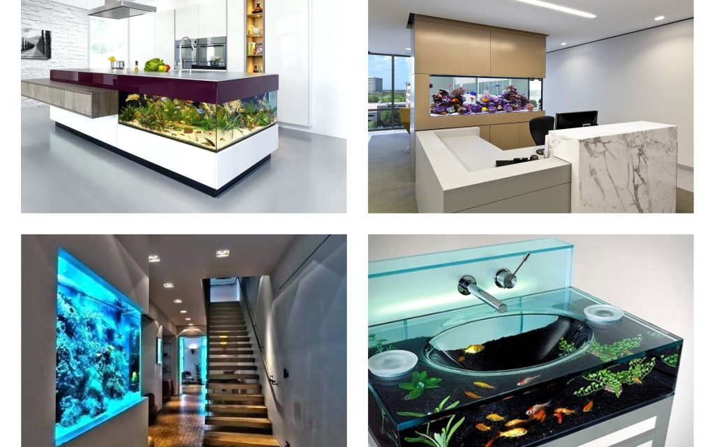 Lovely Aquarium Ideas to Enhance the Beauty of Home