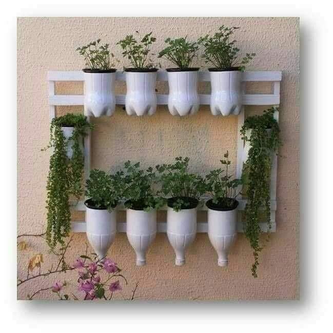 bottles vertical garden