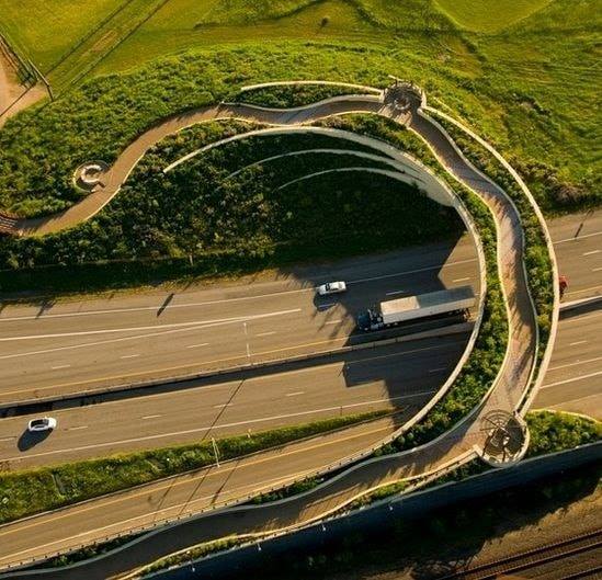 amazing bridges