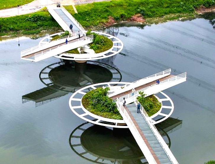 Lush Green Lilypad Bridge