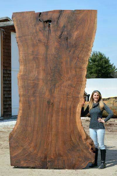 wood slabs table