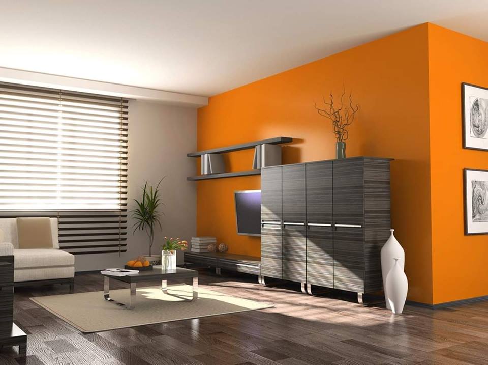 elegant orange walls in living room