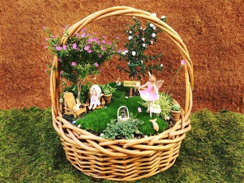 basket garden