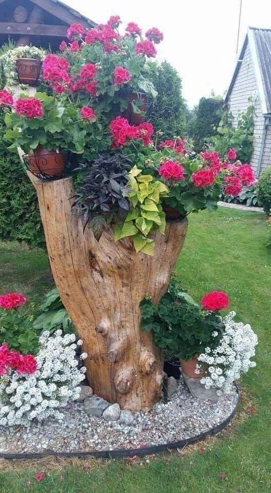 reuse the tree stump