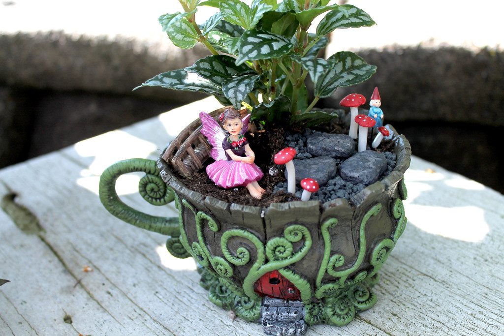 fairy garden