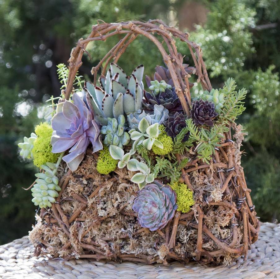 flowers in basket