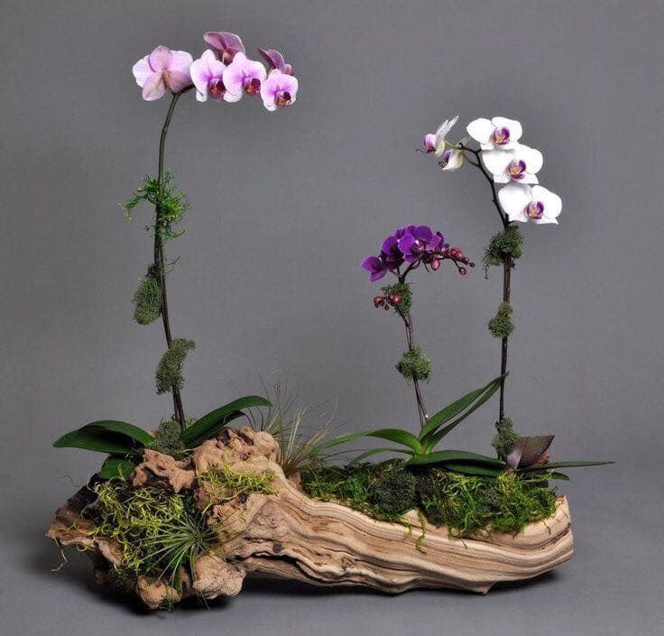 tree sump vases