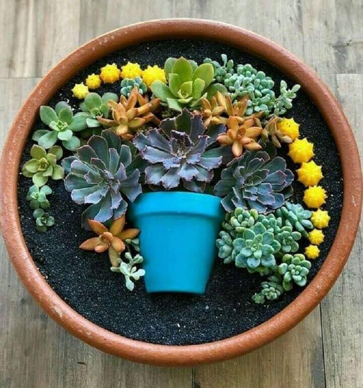 flower pot garden