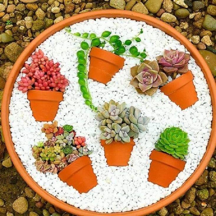 flower pot garden