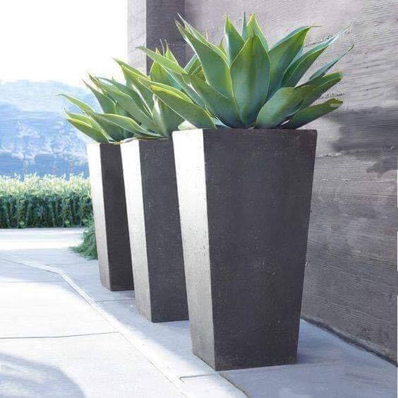 tall flower pots