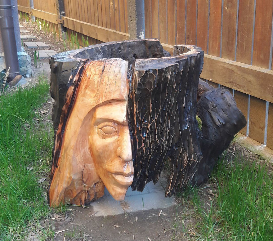 tree stumps art