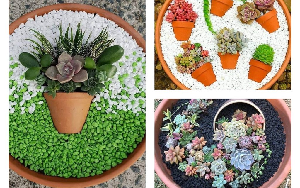 DIY Gardening inside the Terra Cotta Pots