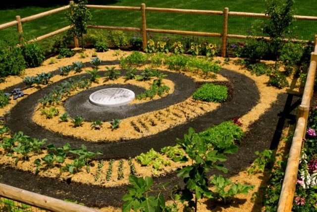 vegetable spiral garden