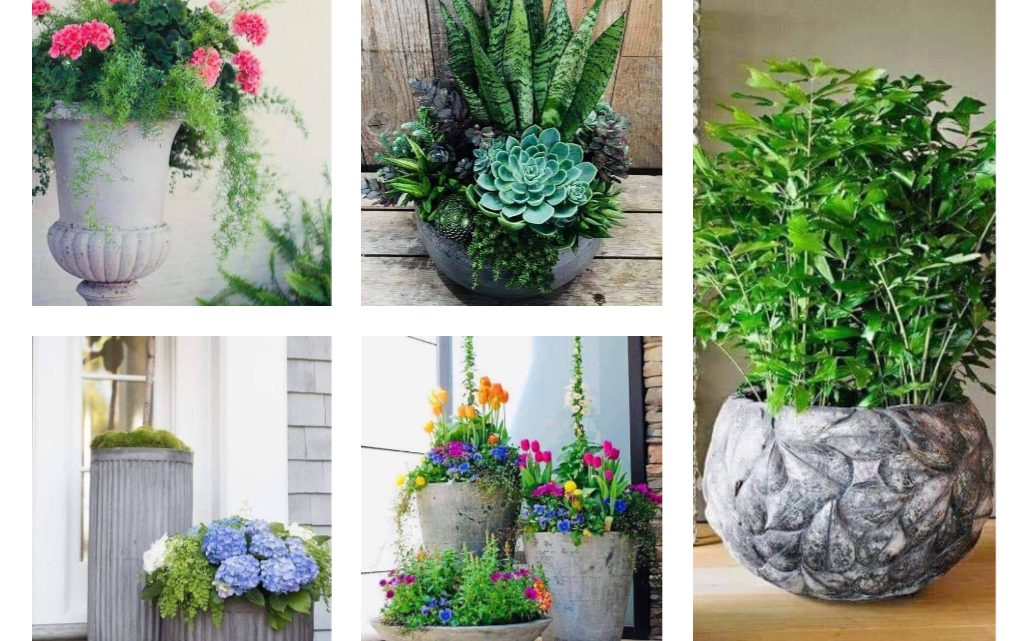 Modern Large Flower Pots