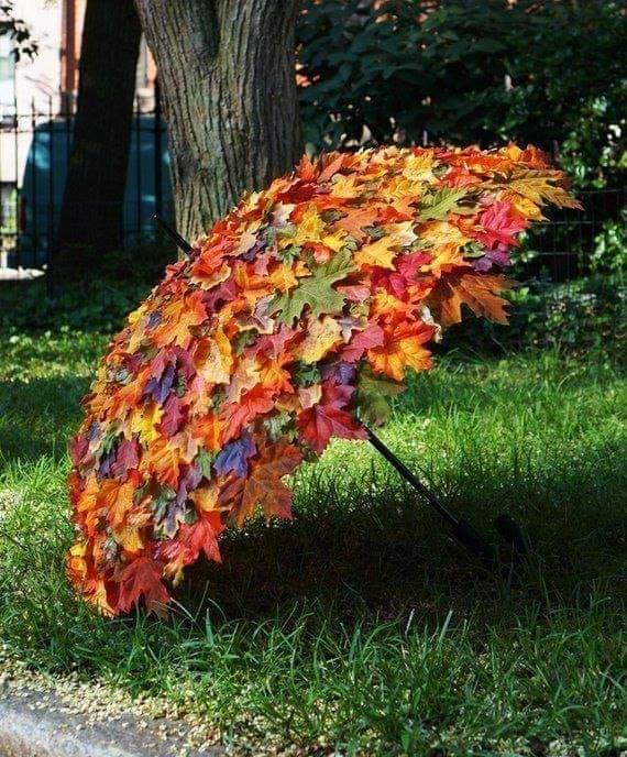 umbrella made of leafs