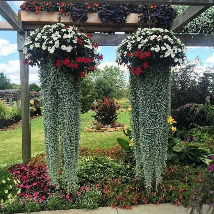 hanging flower planter