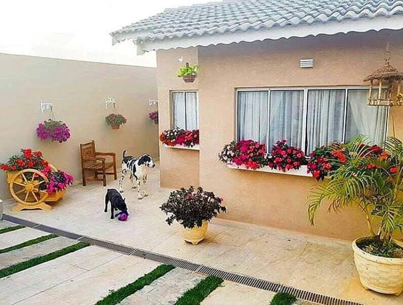 backyard design