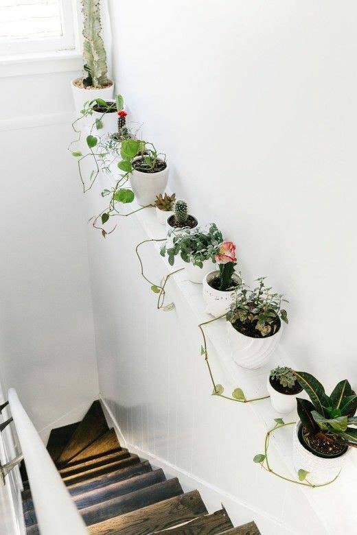 vertical garden