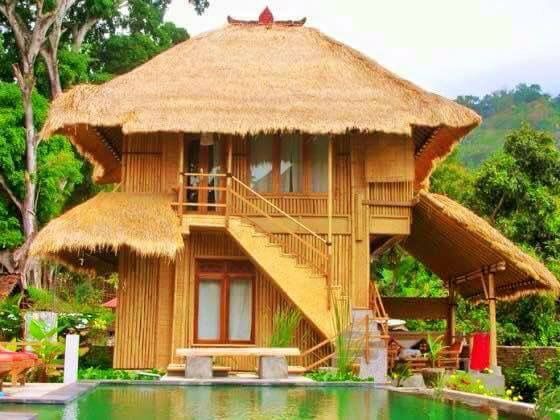 Awesome Bamboo Houses