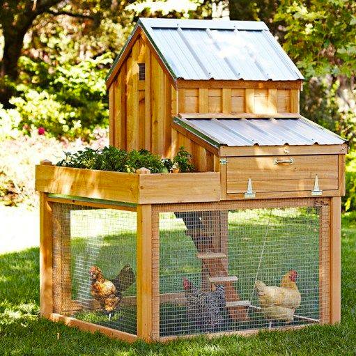 hens house made from pallets