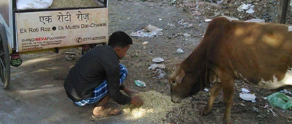 wasting food