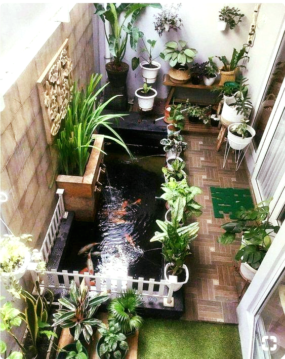 Great Ideas About Having Fish Pond in Yard