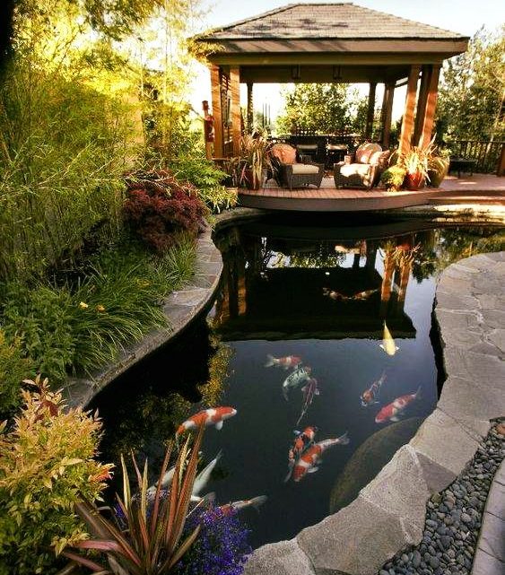 Great Ideas About Having Fish Pond in Yard