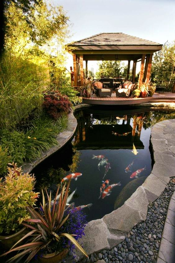 fish pond