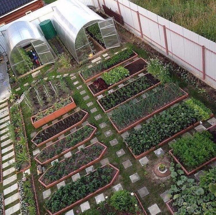 herb garden