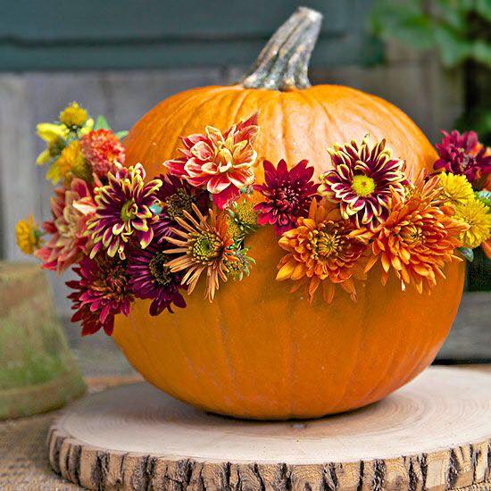 pumpkin and flowers