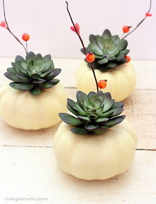 pumpkin flower pot