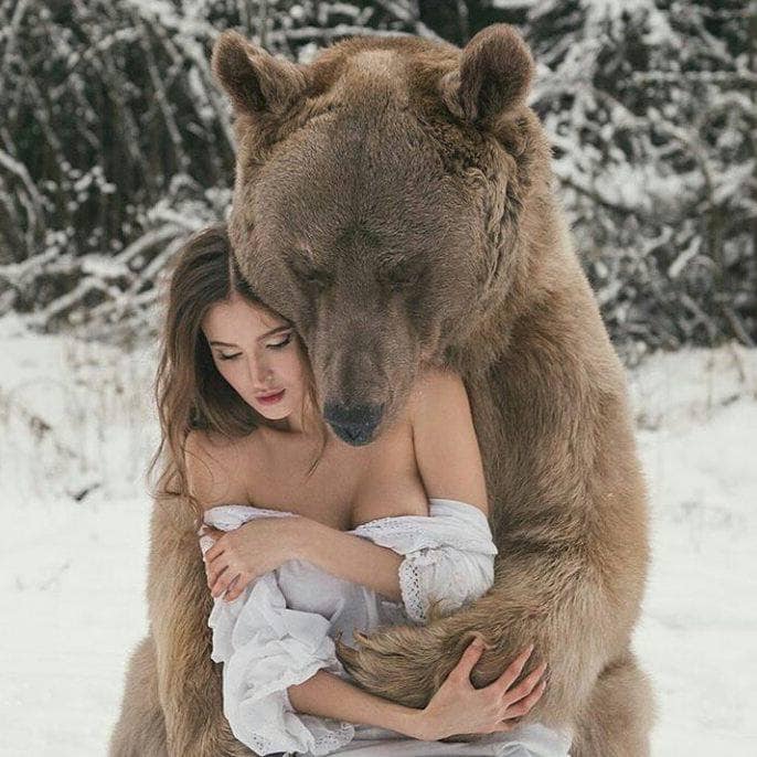 Stepan the bear