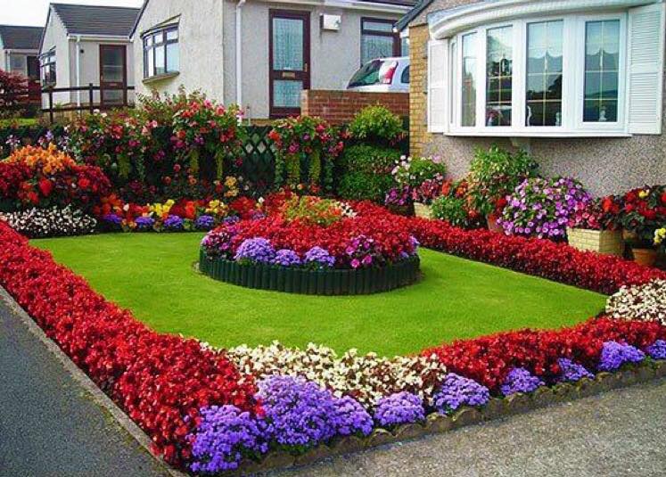 flower bed