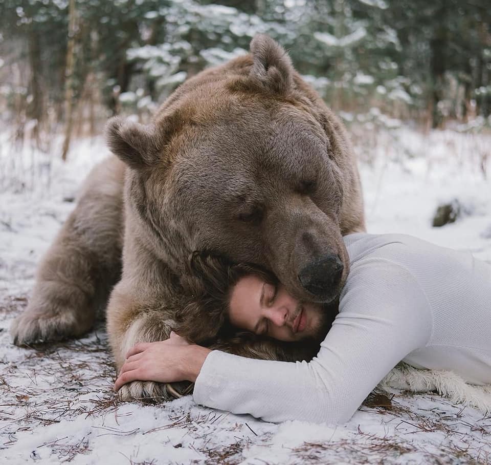 bear and model