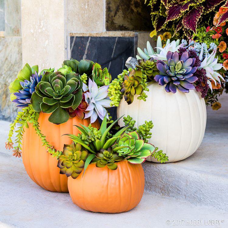 pumpkin vases