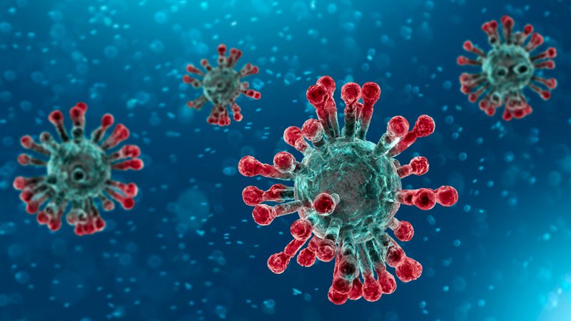 covid 19 coronavirus