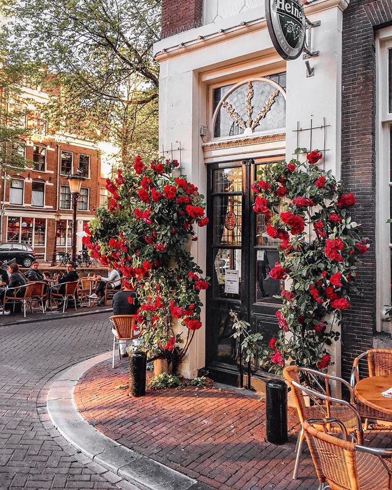 springtime in Amsterdam