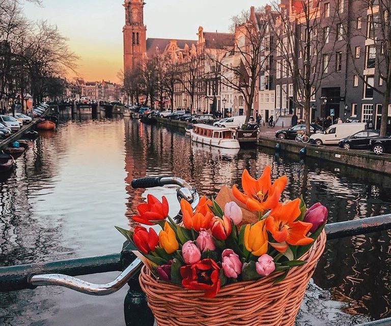 Springtime in Amsterdam, Travel Inspiration