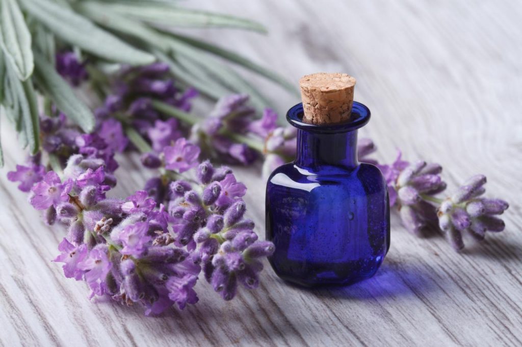 lavender oil
