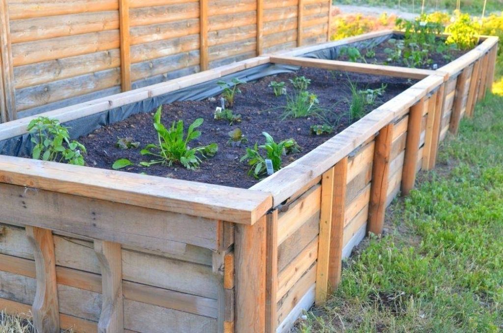 garden bed