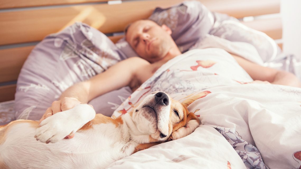 Sharing Bed With Dog, Yes or No?