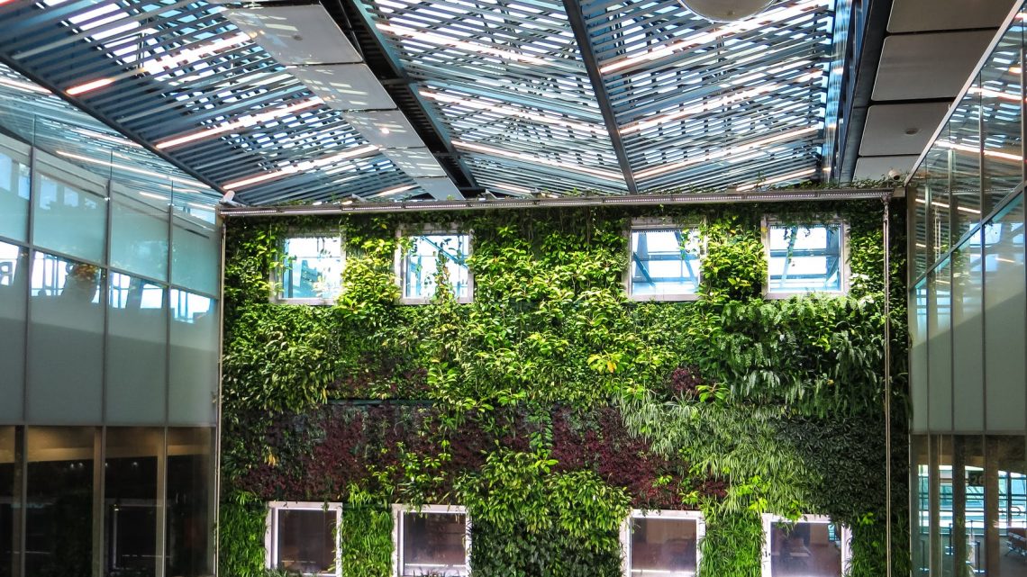 5 Benefits of Having Indoor Plant Wall in the Office