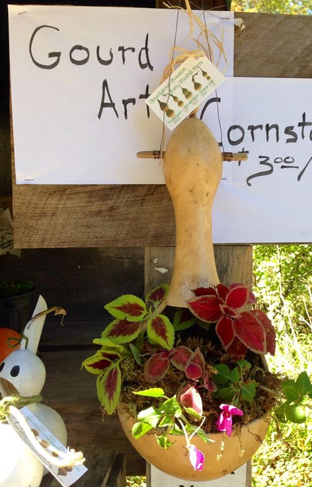 gourd planter
