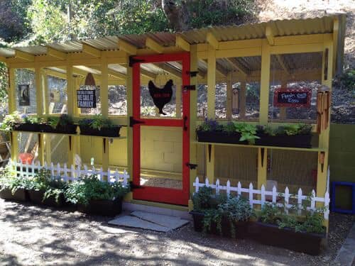 chicken coop