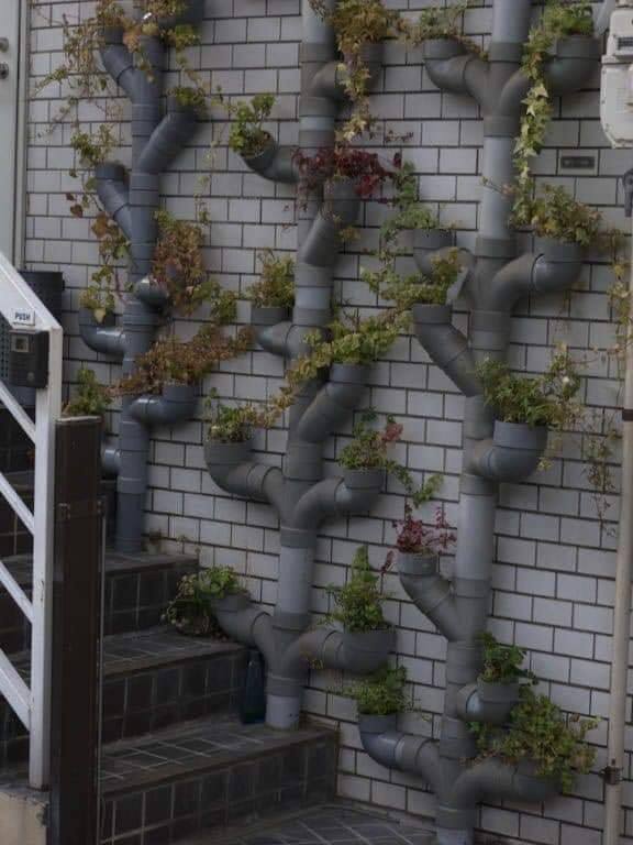 vertical garden