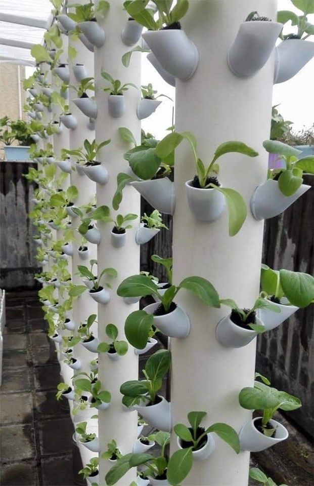 PVC flower pots