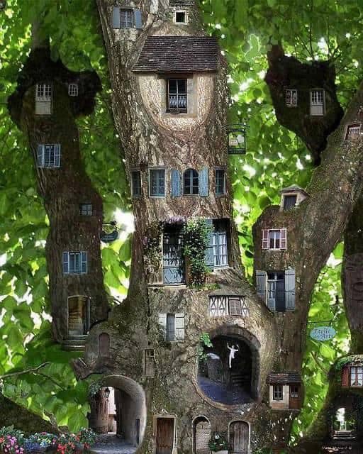 tree house